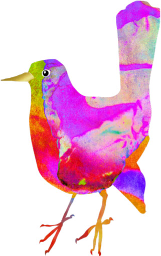 bird